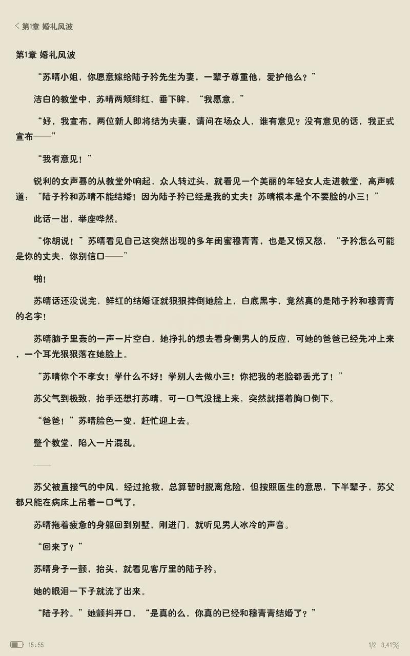 苏晴公交车被强好爽小说：霸道总裁强取豪夺，她该何去何从？