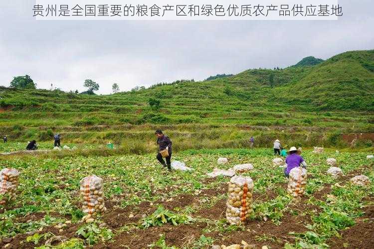 贵州是全国重要的粮食产区和绿色优质农产品供应基地