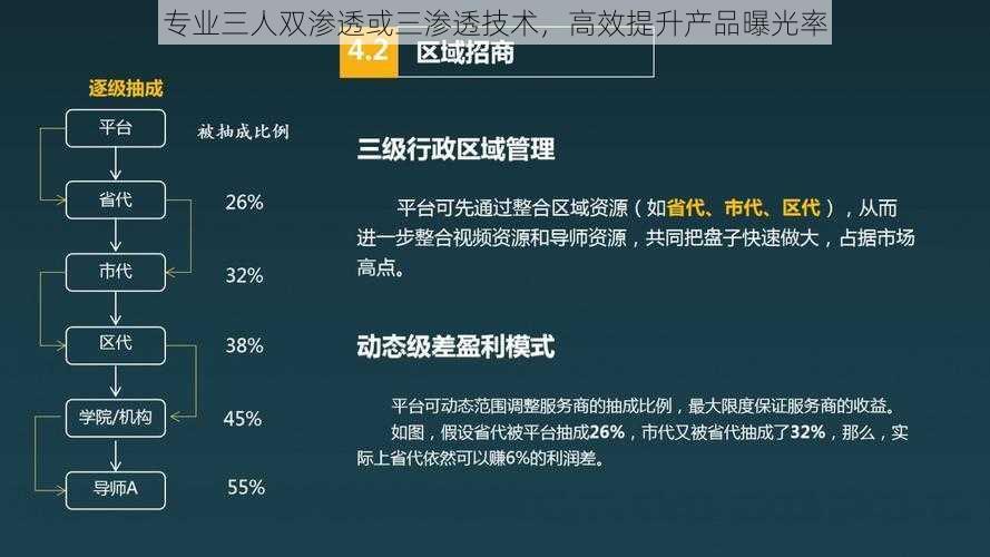 专业三人双渗透或三渗透技术，高效提升产品曝光率