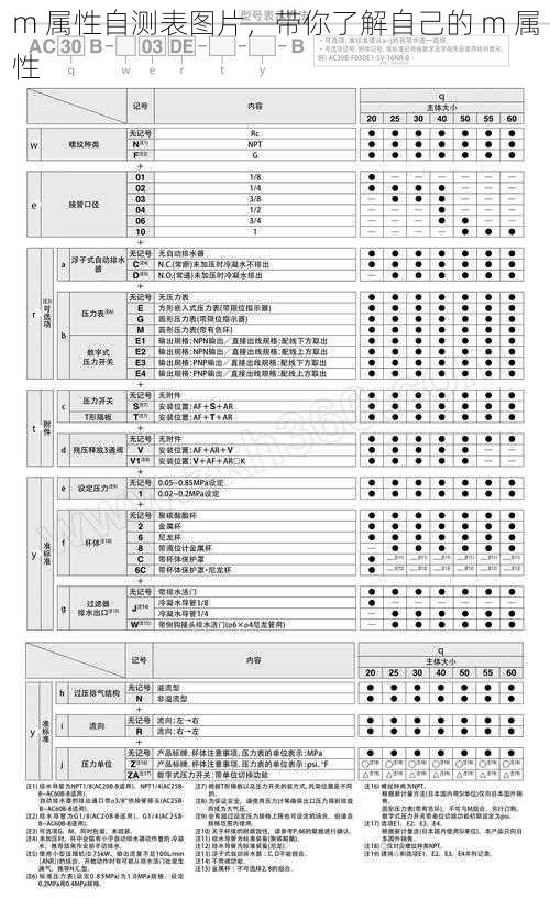 m 属性自测表图片，带你了解自己的 m 属性