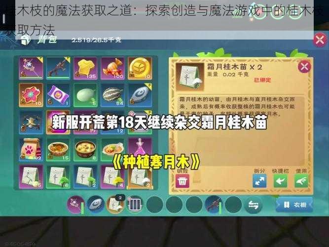 桂木枝的魔法获取之道：探索创造与魔法游戏中的桂木枝获取方法