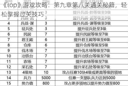 《rop》游戏攻略：第九章第八关通关秘籍，轻松掌握过关技巧